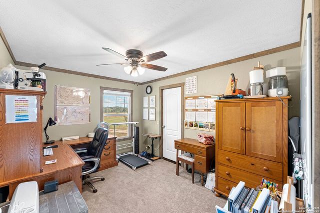 230 County Road 426, Stockdale, TX 78160