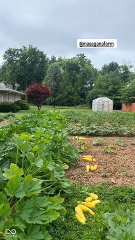 4229 Terra Drive, Indianapolis, IN 46237