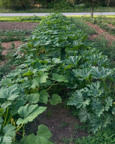 4229 Terra Drive, Indianapolis, IN 46237