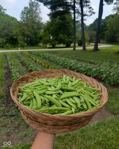 4229 Terra Drive, Indianapolis, IN 46237