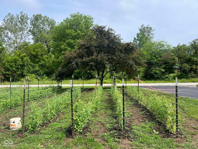 4229 Terra Drive, Indianapolis, IN 46237