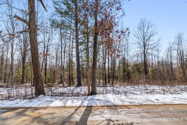 VL 0000 108th ave, Pullman, MI 49450