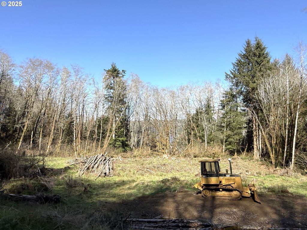 Fiddle Back Lot 6, North Bend, OR 97459