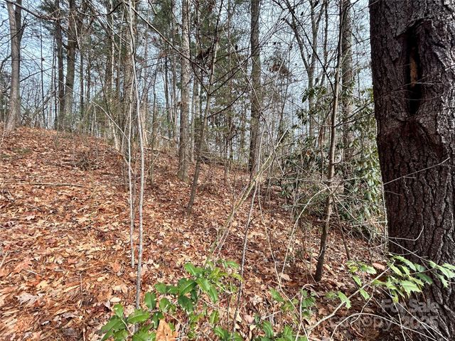 00 Cyprus Creek Lane 22, Hendersonville, NC 28791