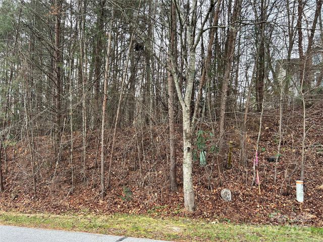 00 Cyprus Creek Lane 22, Hendersonville, NC 28791