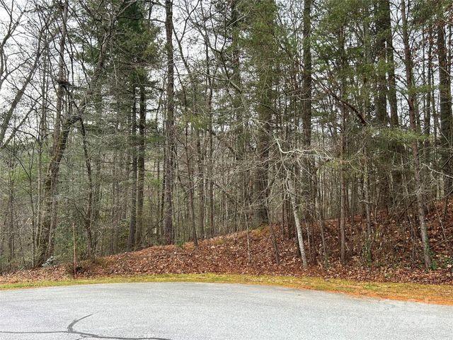 00 Cyprus Creek Lane 22, Hendersonville, NC 28791