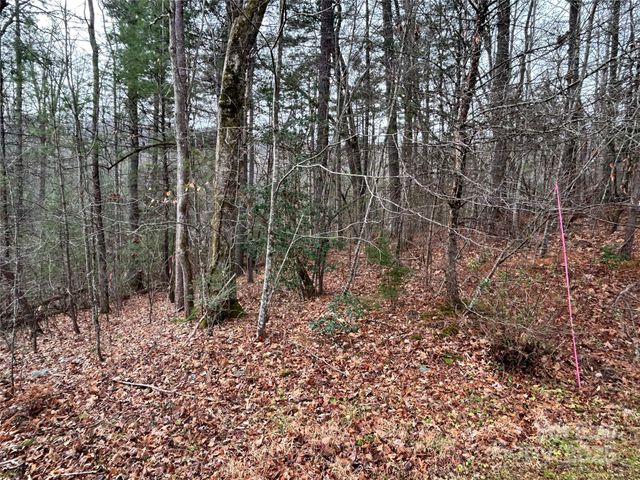 00 Cyprus Creek Lane 22, Hendersonville, NC 28791