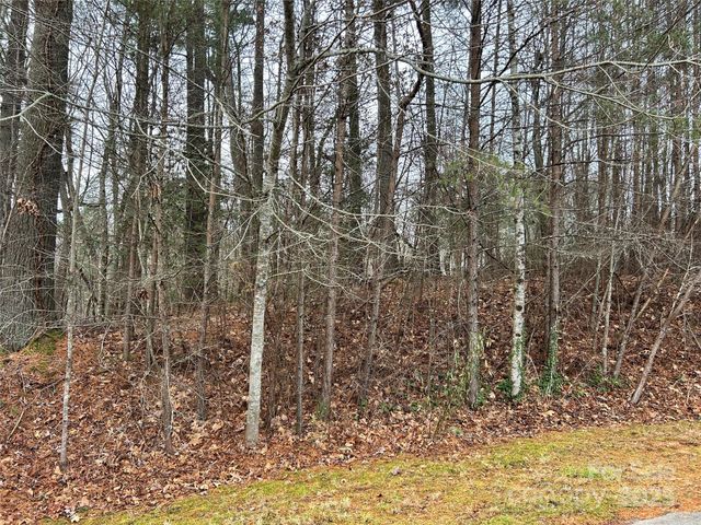 00 Cyprus Creek Lane 22, Hendersonville, NC 28791