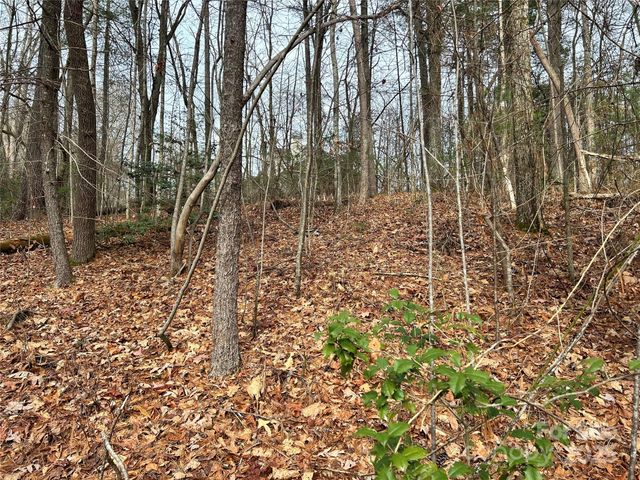 00 Cyprus Creek Lane 22, Hendersonville, NC 28791