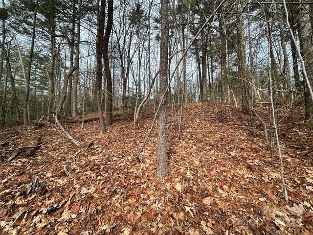 00 Cyprus Creek Lane 22, Hendersonville, NC 28791