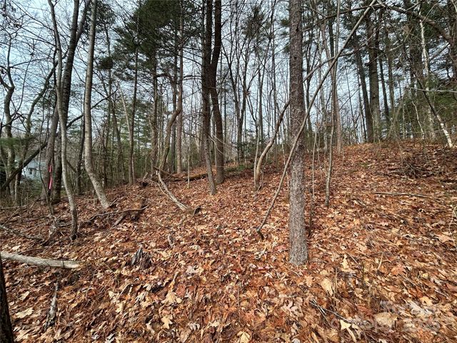 00 Cyprus Creek Lane 22, Hendersonville, NC 28791