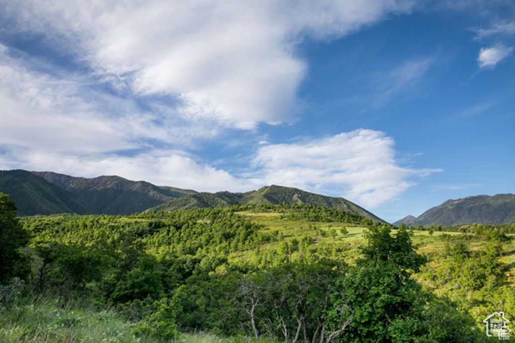 Image 5 of property listing at 826 S Summit Creek Dr Unit 44, Woodland Hills, UT 84653