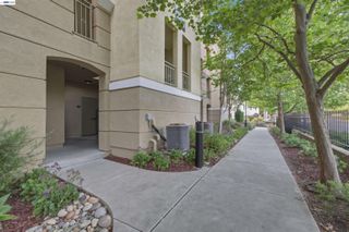 4704 Norris Canyon Rd 203, San Ramon, CA 94583