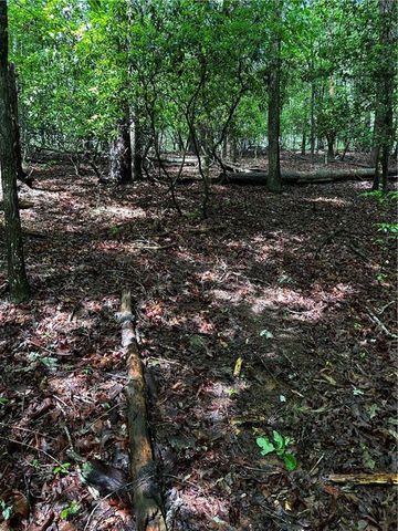 00 Lazy River Lane, Ellijay, GA 30540