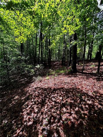 00 Lazy River Lane, Ellijay, GA 30540