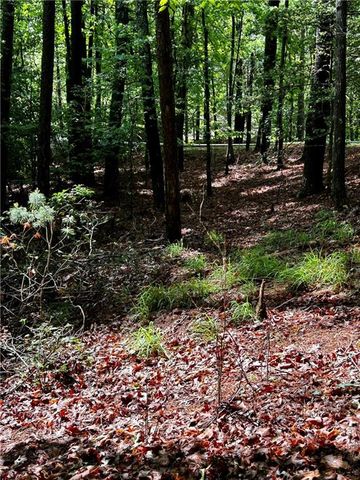 00 Lazy River Lane, Ellijay, GA 30540