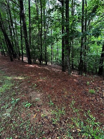 00 Lazy River Lane, Ellijay, GA 30540