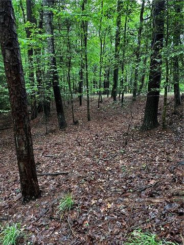 00 Lazy River Lane, Ellijay, GA 30540