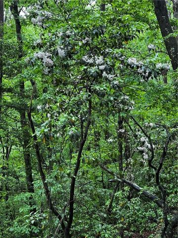 00 Lazy River Lane, Ellijay, GA 30540