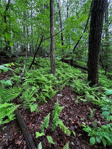 00 Lazy River Lane, Ellijay, GA 30540