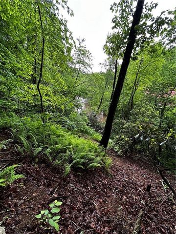 00 Lazy River Lane, Ellijay, GA 30540