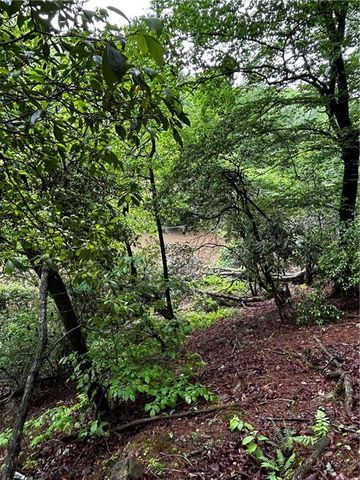 00 Lazy River Lane, Ellijay, GA 30540