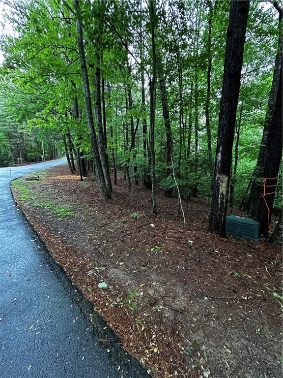 00 Lazy River Lane, Ellijay, GA 30540
