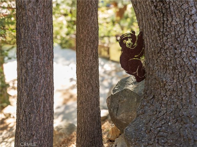 238 Shasta Drive, Lake Arrowhead, CA 92352