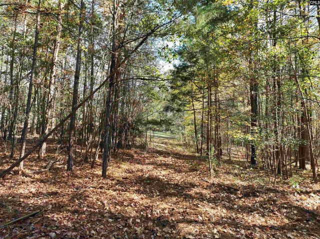 22 Creekside Way, Ridgeway, SC 29130