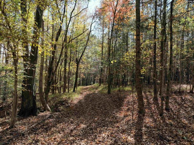 22 Creekside Way, Ridgeway, SC 29130