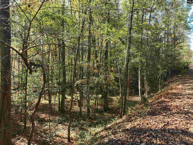 22 Creekside Way, Ridgeway, SC 29130