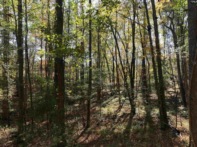 22 Creekside Way, Ridgeway, SC 29130