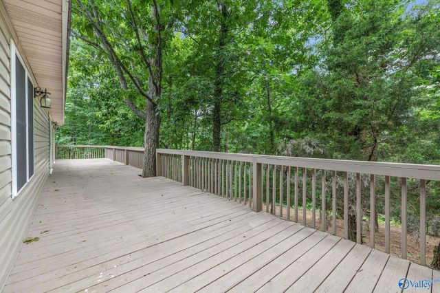111 Morgan Lane Private Drive, Falkville, AL 35622