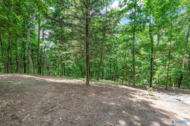111 Morgan Lane Private Drive, Falkville, AL 35622
