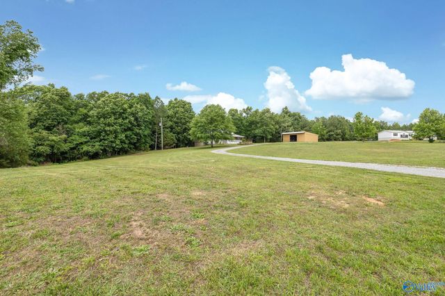 111 Morgan Lane Private Drive, Falkville, AL 35622
