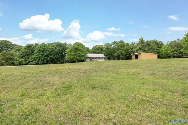 111 Morgan Lane Private Drive, Falkville, AL 35622