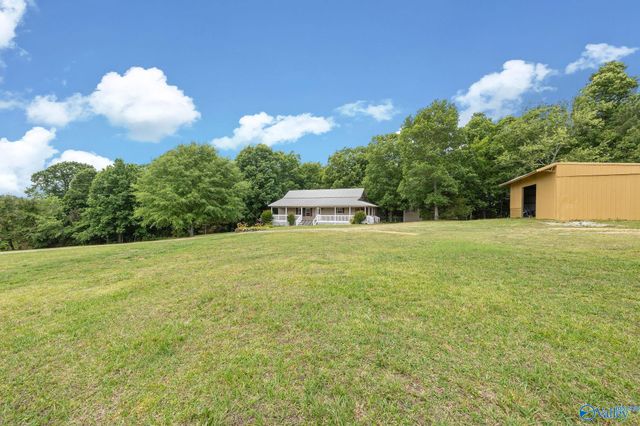 111 Morgan Lane Private Drive, Falkville, AL 35622