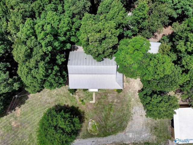 111 Morgan Lane Private Drive, Falkville, AL 35622