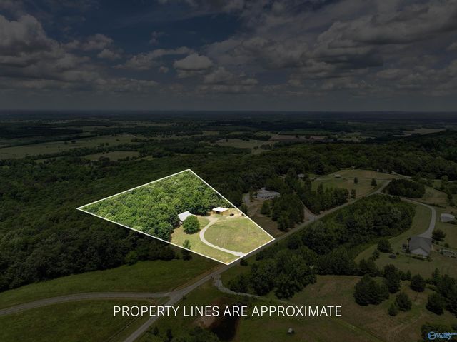 111 Morgan Lane Private Drive, Falkville, AL 35622