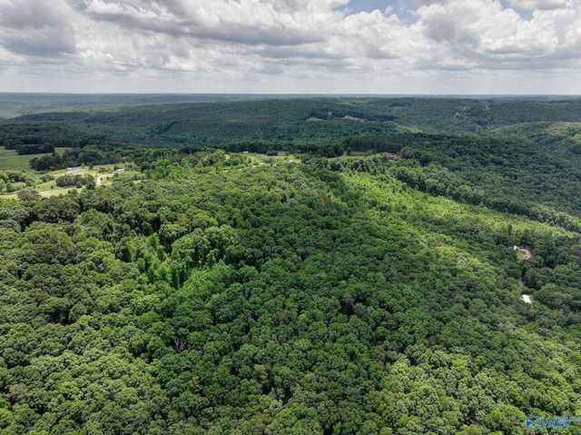 111 Morgan Lane Private Drive, Falkville, AL 35622