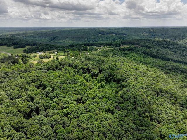 111 Morgan Lane Private Drive, Falkville, AL 35622