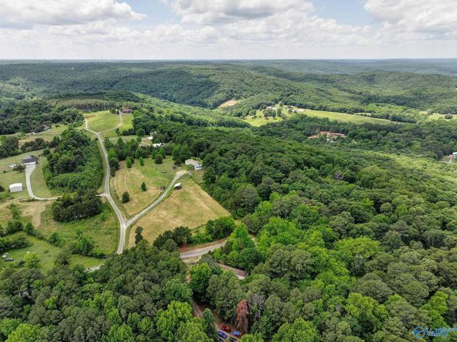 111 Morgan Lane Private Drive, Falkville, AL 35622