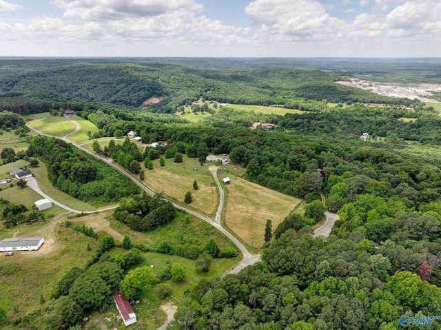 111 Morgan Lane Private Drive, Falkville, AL 35622