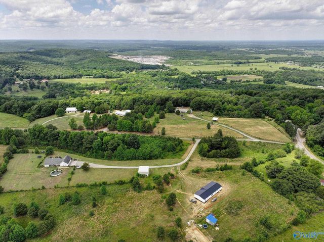 111 Morgan Lane Private Drive, Falkville, AL 35622