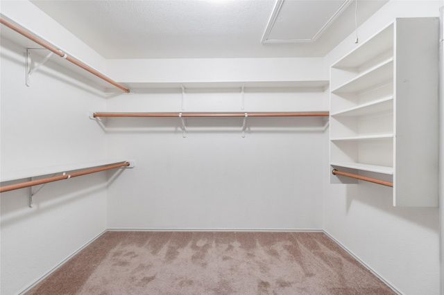 1424 Marsh Harbour DR, Round Rock, TX 78664