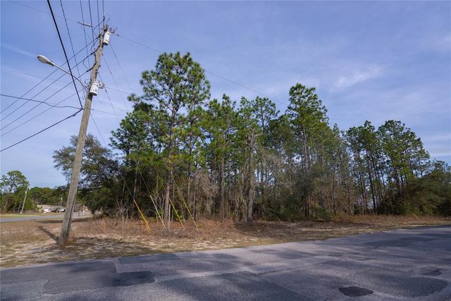 7391 N CRICKET DRIVE, Citrus Springs, FL 34434