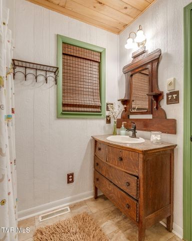 Tbd Stanley Hollow Road, Roan Mountain, TN 37687