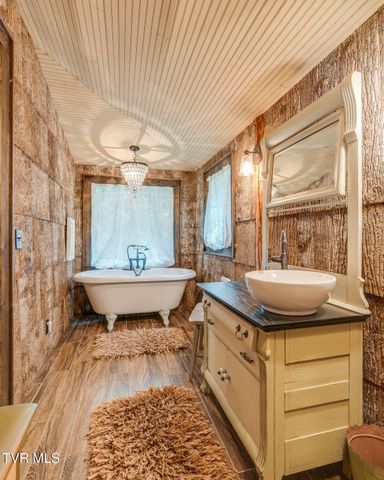 Tbd Stanley Hollow Road, Roan Mountain, TN 37687