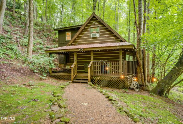 Tbd Stanley Hollow Road, Roan Mountain, TN 37687
