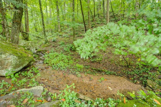 Tbd Stanley Hollow Road, Roan Mountain, TN 37687